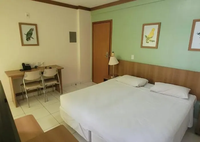Flat 203 - Golden Dolphin Resort Grand Hotel - Particular